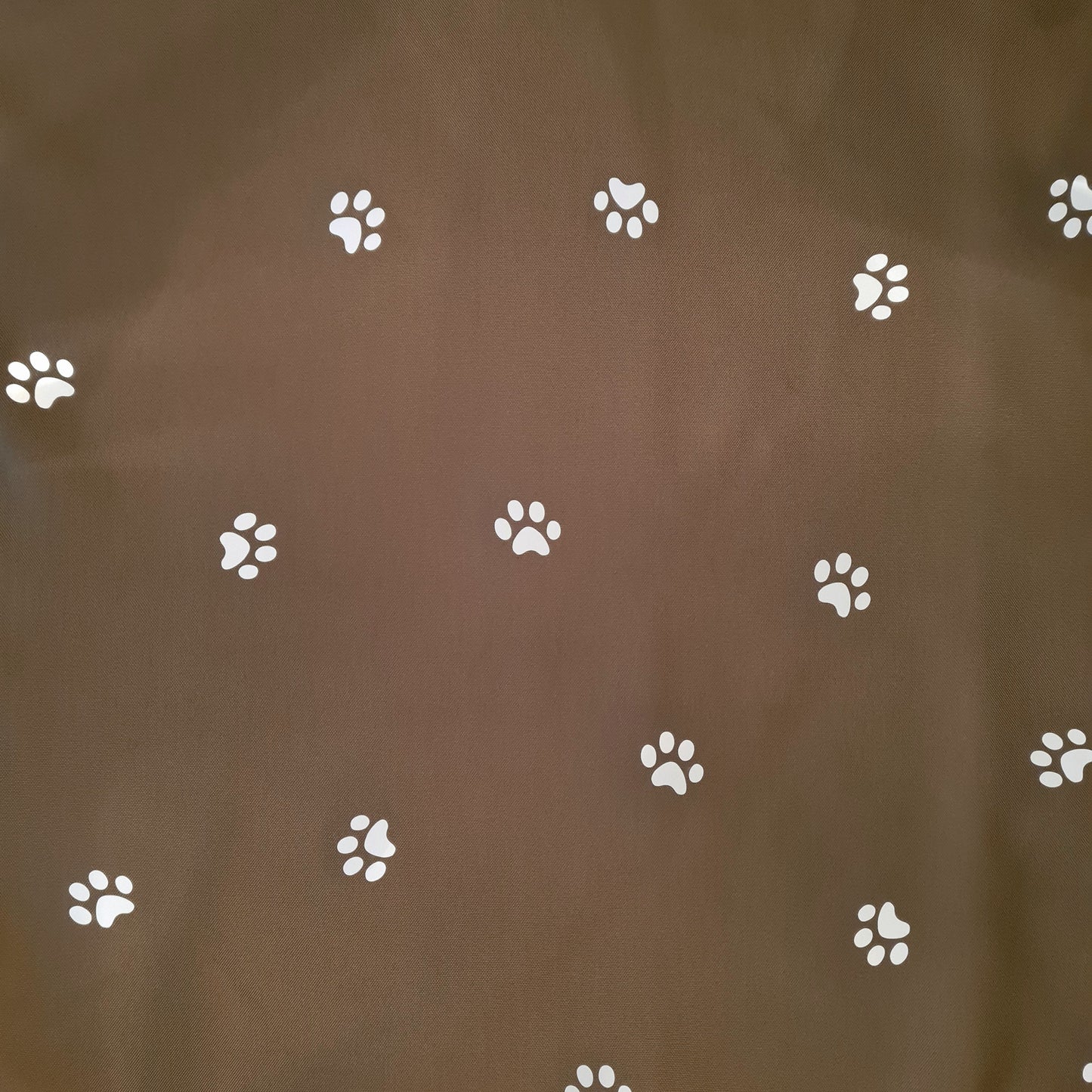 Cab-on Glow - Paws - Strong Black/Khaki (strl M)