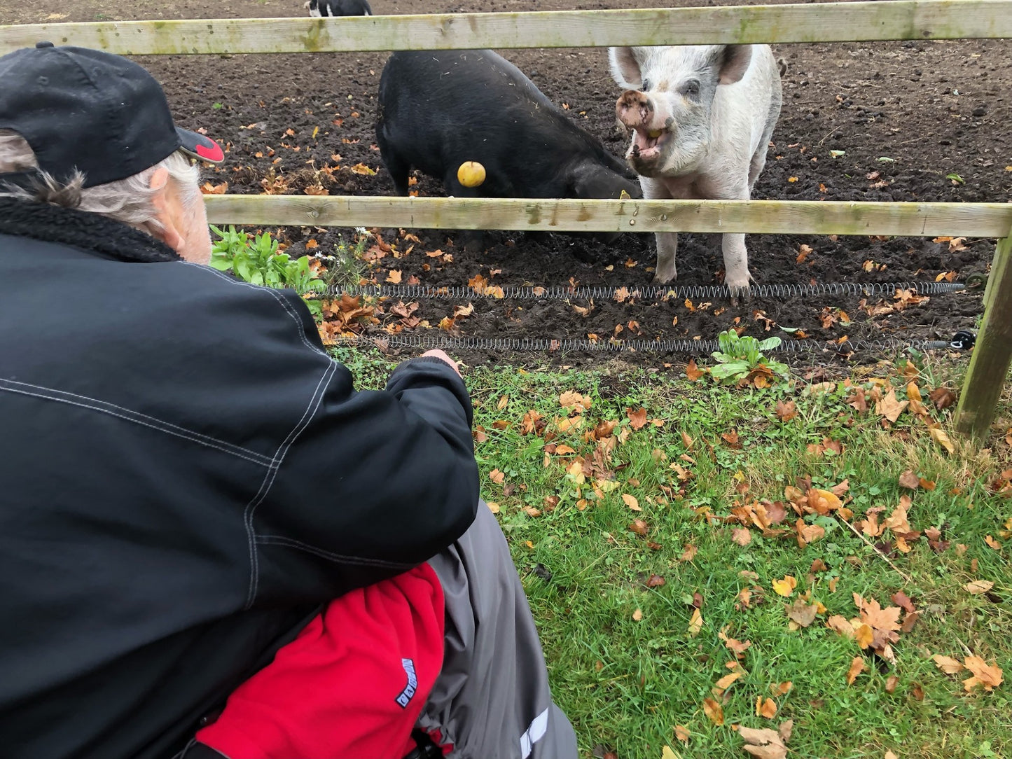 Cab-on Wind - Loving Red (strl M)
