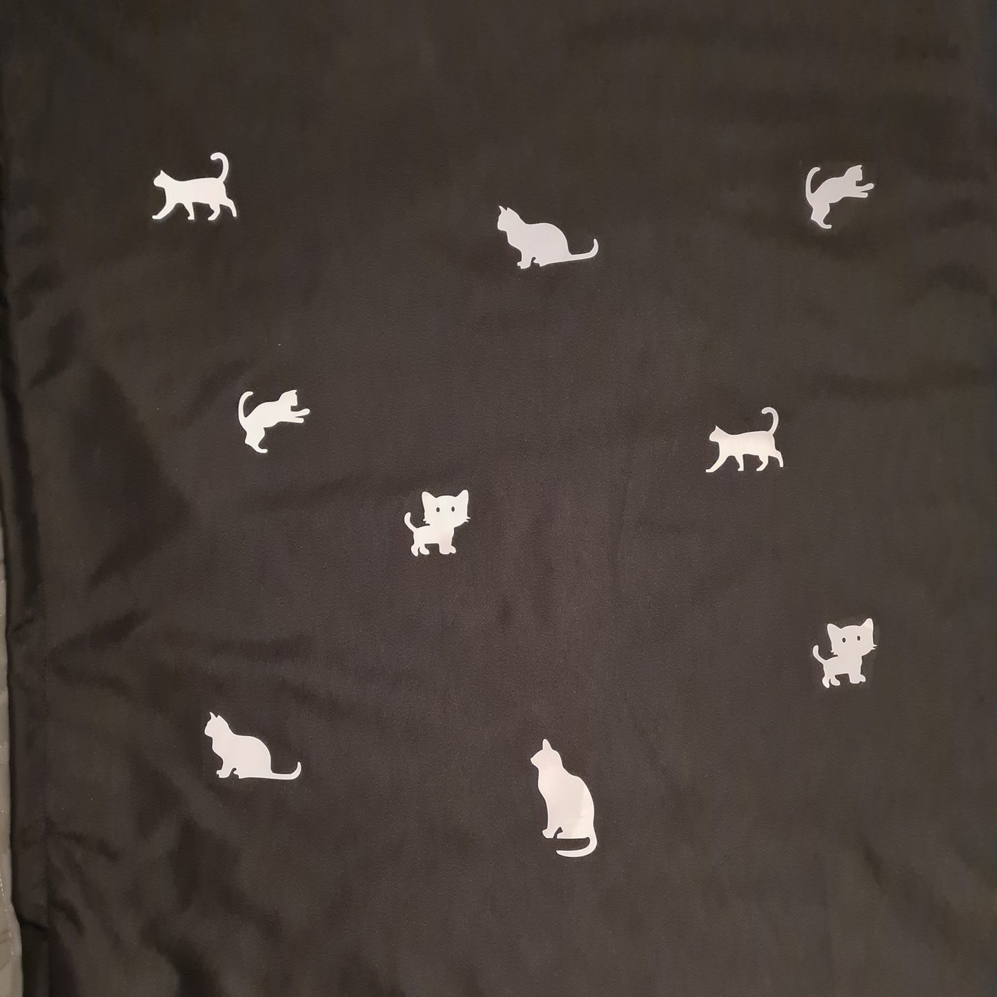 Cab-on Glow - Cats - Black Focused Dots/Black (strl M)